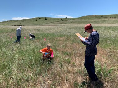 Range Judging Arthur 2024