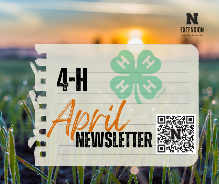 April Holt Boyd 4-H Newsletter