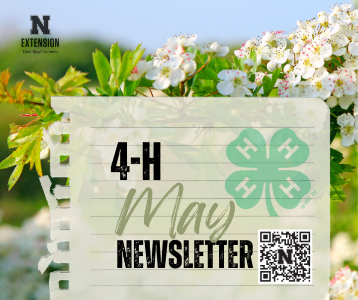 Holt Boyd 4-H May Newsletter