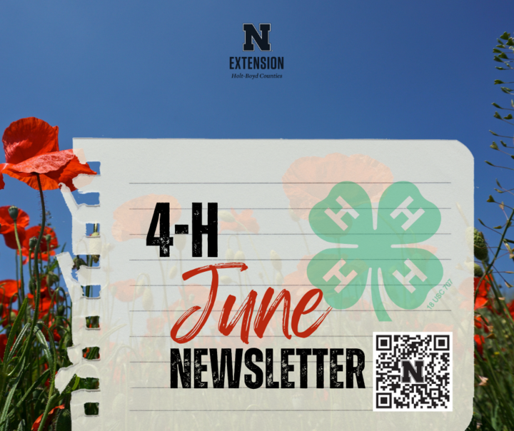 June Holt Boyd 4-H Newsletter