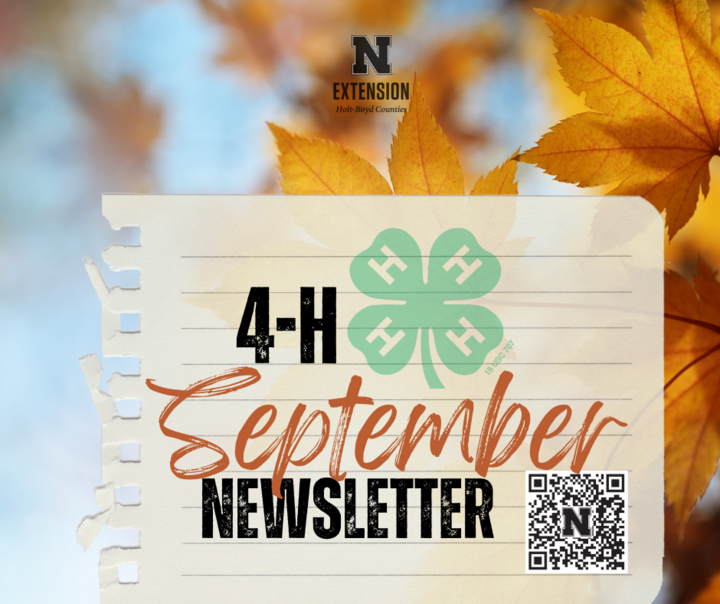 September Holt Boyd 4-H Newsletter