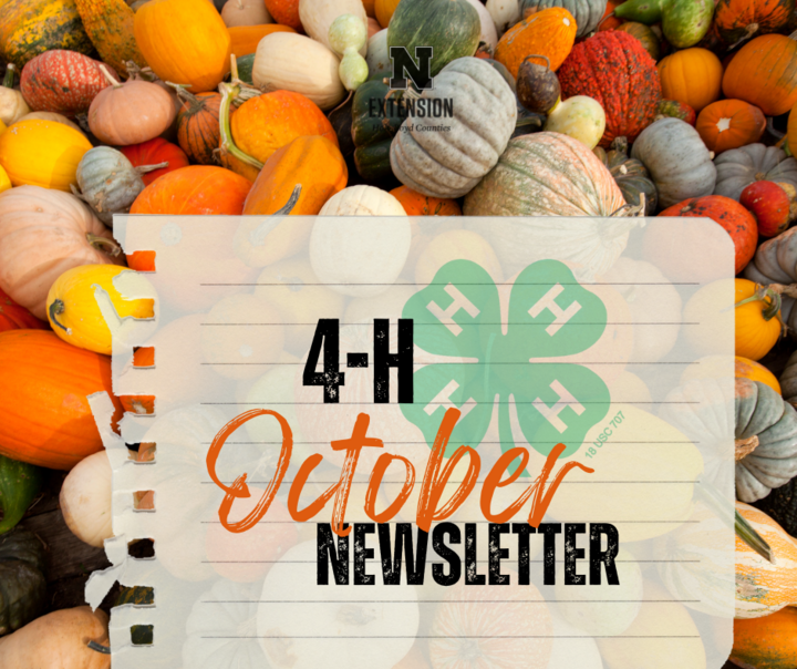 Colorful pumpkins and gourds with text overlay featuring 4-H logo and "October Newsletter."