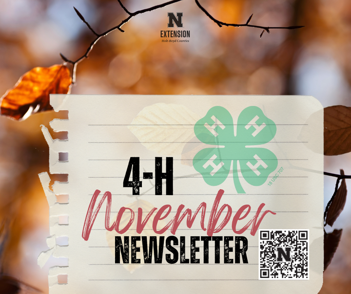 Holt Boyd November Newsletter