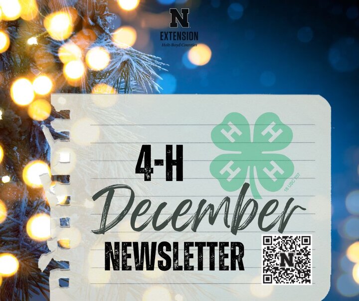 December Holt Boyd 4-H Newsletter