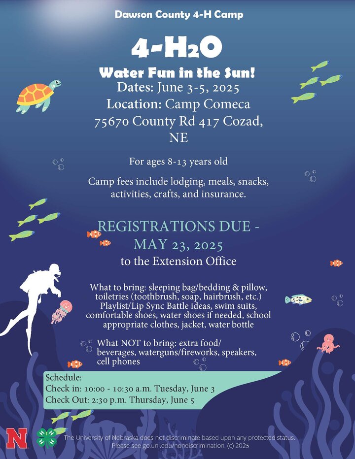 2025 Dawson County 4-H Camp