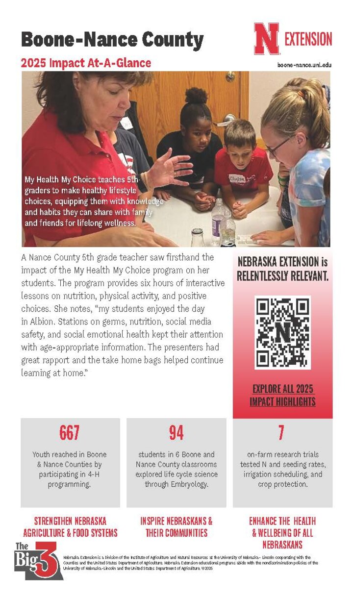 Impact report for boone & nance counties