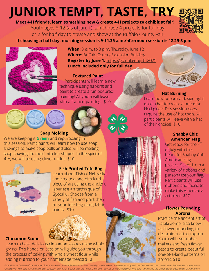 Junior Tempt Taste Try project offerings