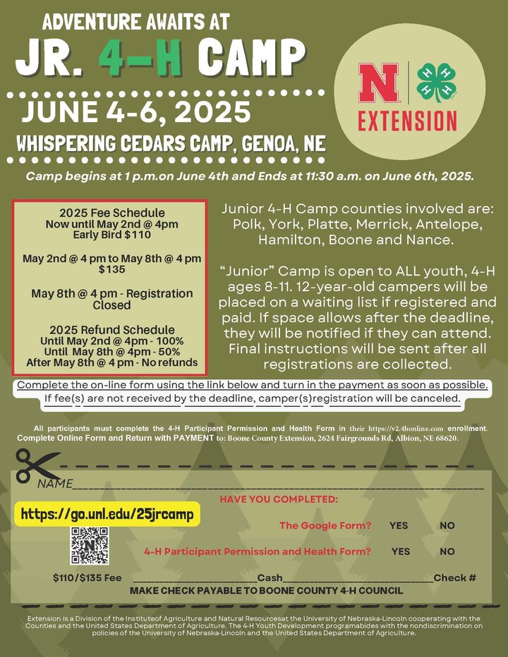 4-H camp flyer