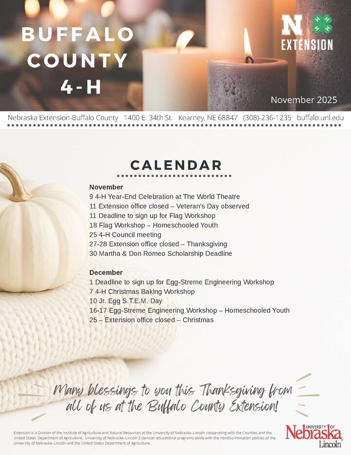 Cover of Buffalo County 4-H Newsletter