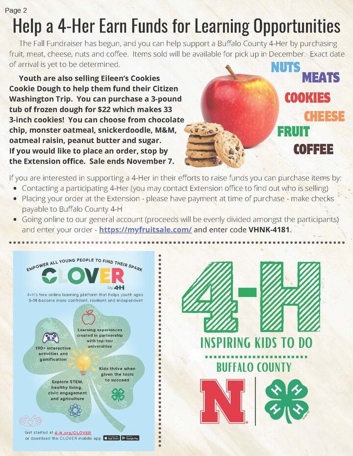 Page 2 of Buffalo County 4-H Newsletter