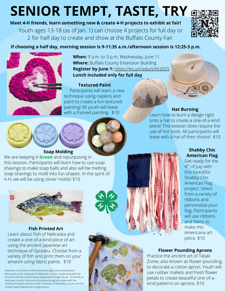 Sr Tempt Taste Try 4-H project offerings