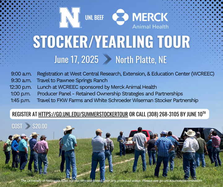 Stocker Yearling Tour photo of farmers standing in the pasture