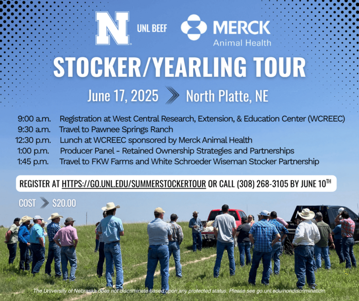 Stocker yearling tour