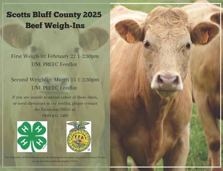 2025 Beef Weigh In Announcement