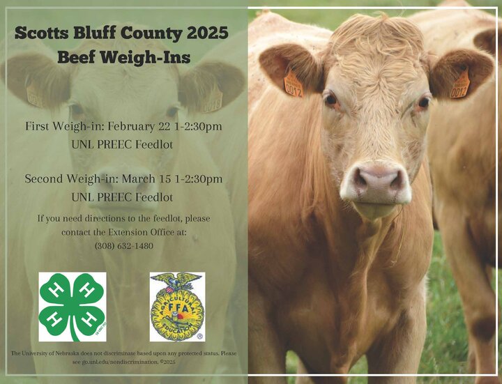 Beef Weigh-in 4-H & FFA 2025 updated