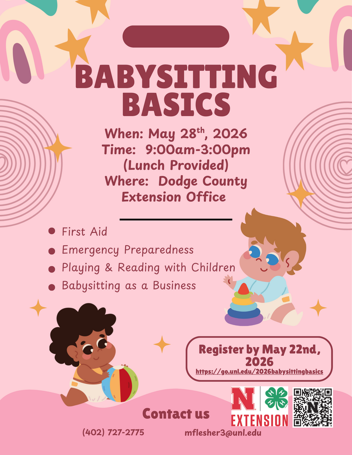Babysitting Basics