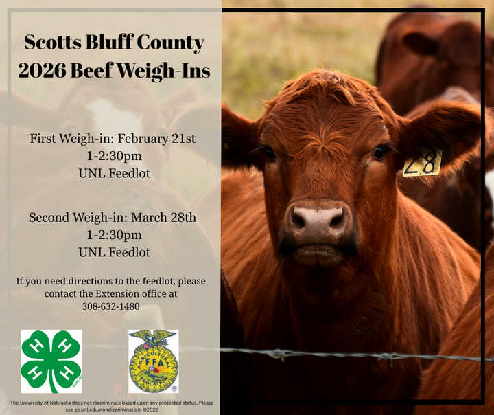 Scotts Bluff County 4-H 2026 Beef Weigh-In
