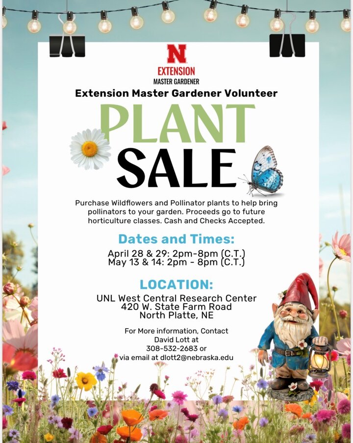 MG Plant sale 2026