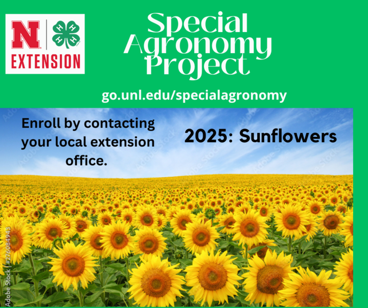 2025 Special Agronomy Project