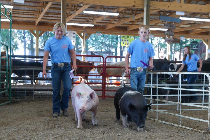 DC Fair 1