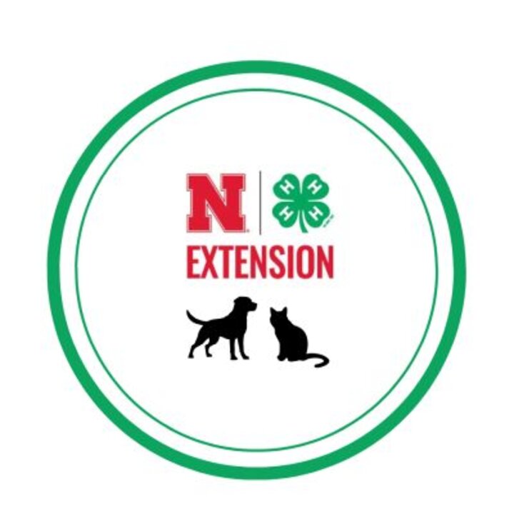 Saline 4-H Companion Animal