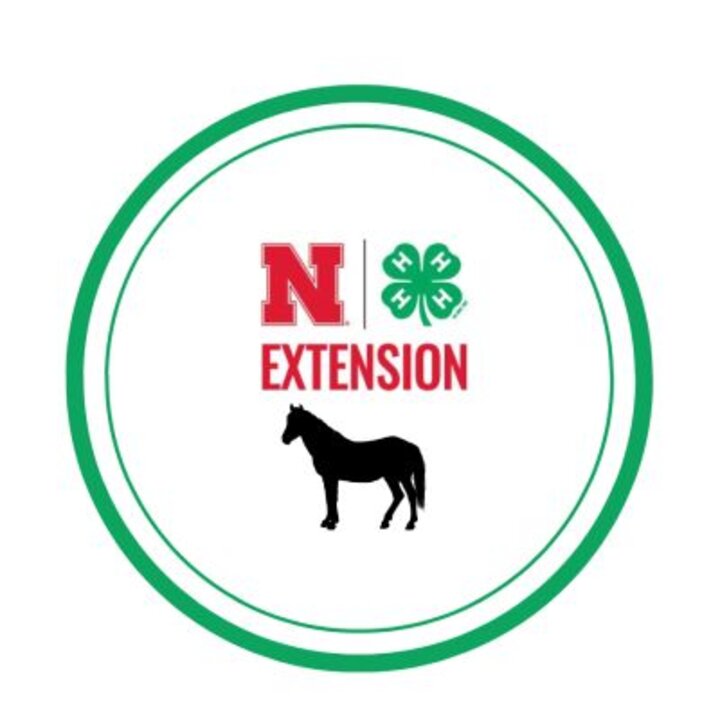 Saline 4-H Horse