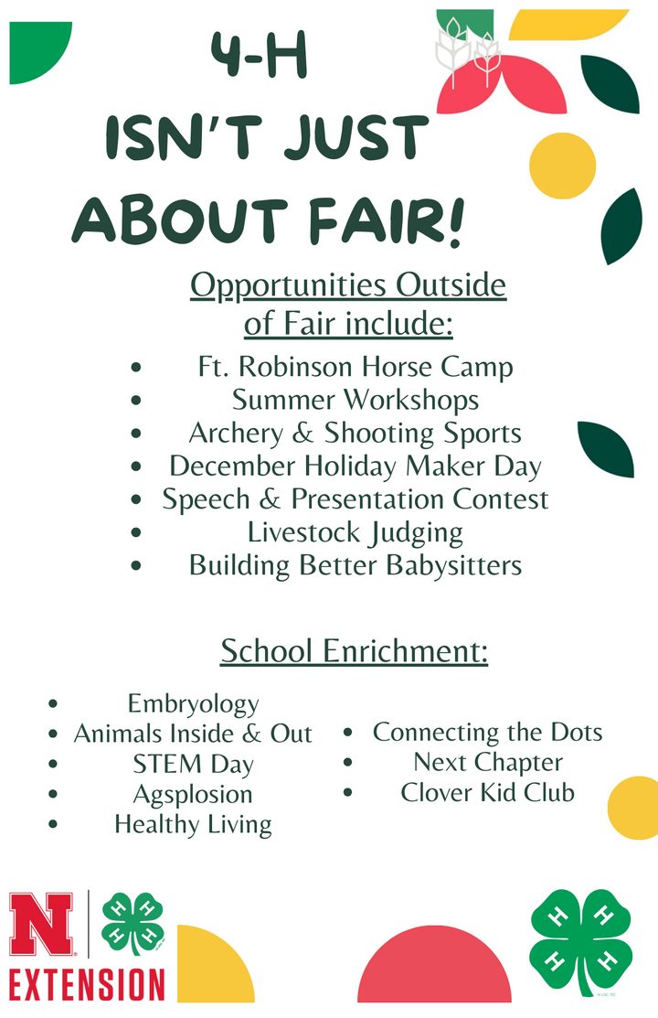 4-H Outside of Fair