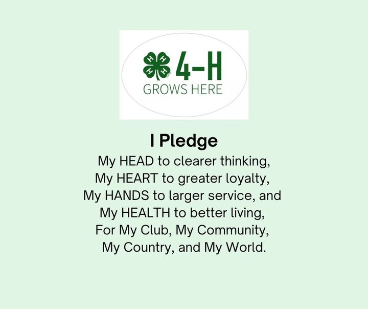 4-H Logo and pledge