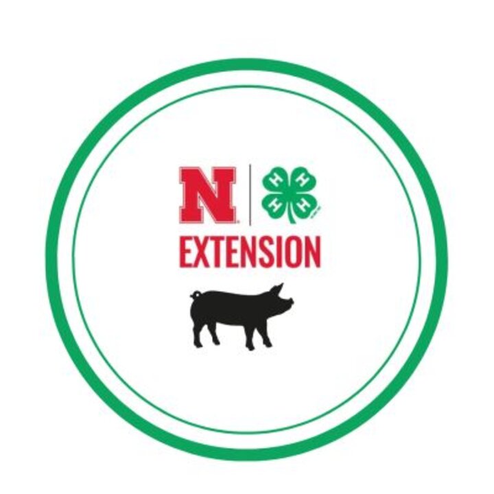 Saline 4-H Swine
