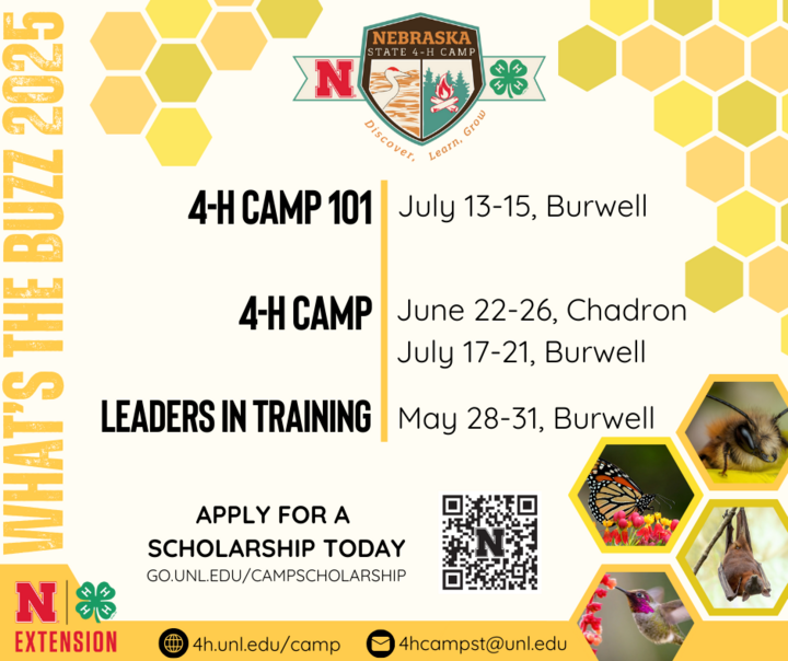 4H Camp