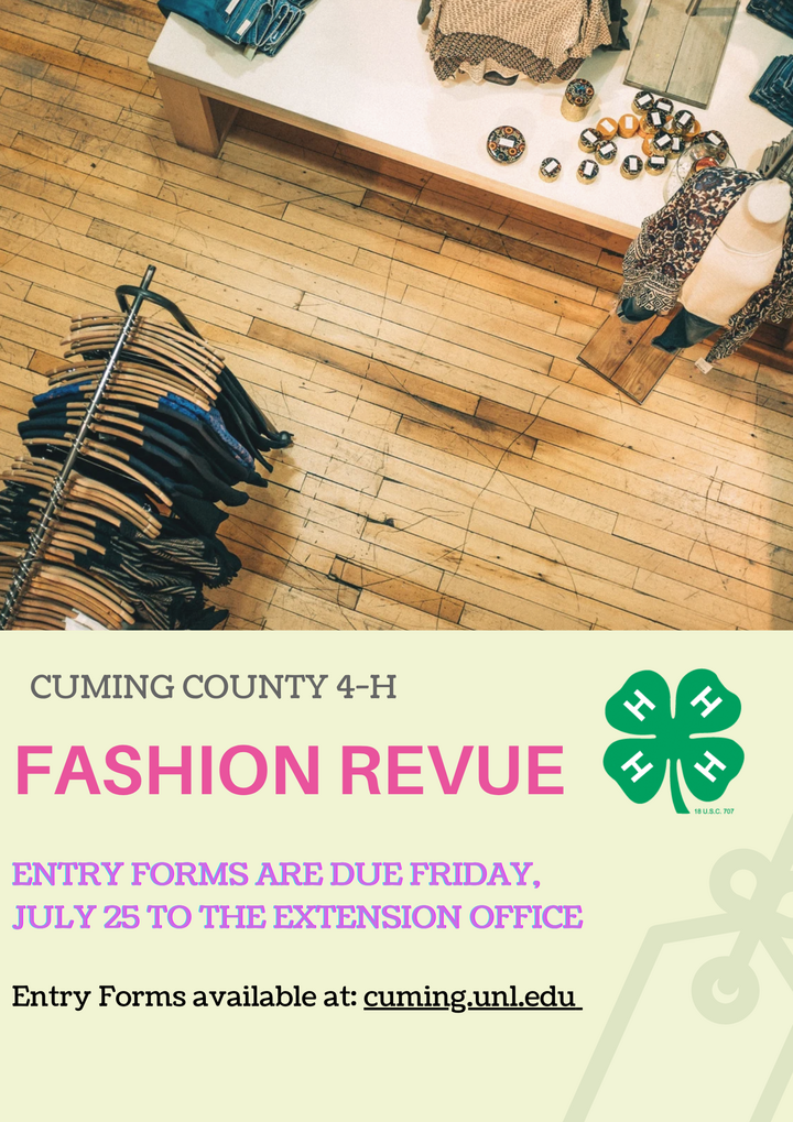 CC Fashion Revue