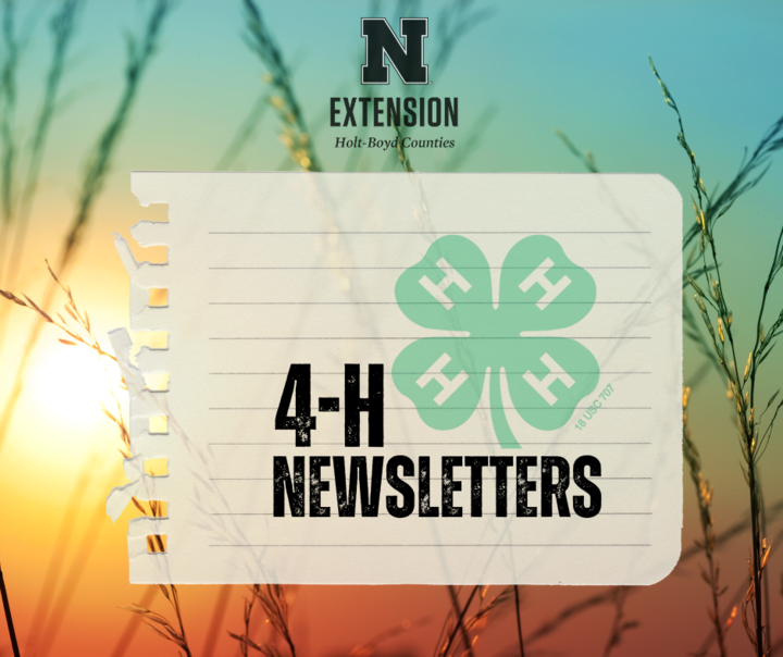 Holt Boyd 4-H Newsletters