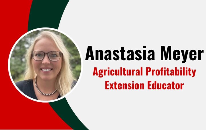 Anastasia for Web