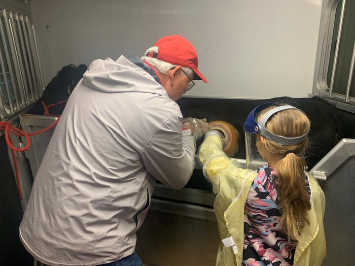 Animals Inside Out Ogallala 10.30.25