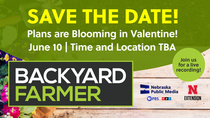Backyard Farmer Save Date Card