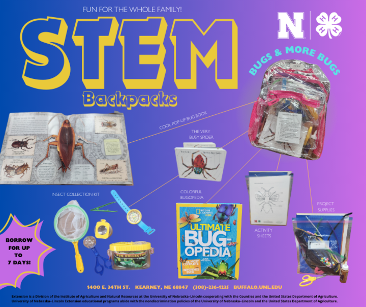 Contents of STEM Backpack Bugs & More Bugs