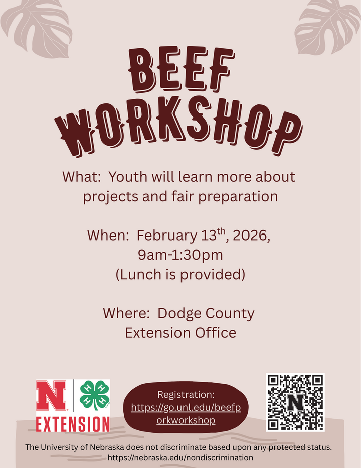 Beef Workshop