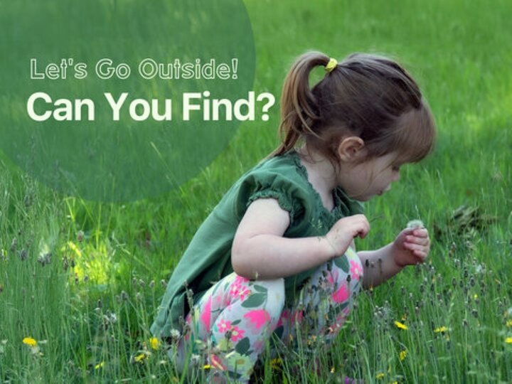 Book:  Let's Go Outside! Can You Find?