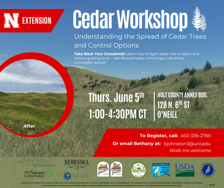 Cedar Control Workshop flyer