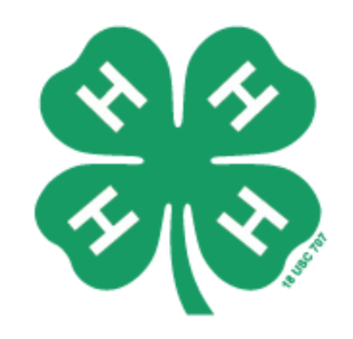 4-H Clover