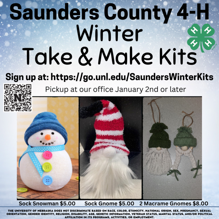 Saunders County 4-H Winter Take & Make Kits