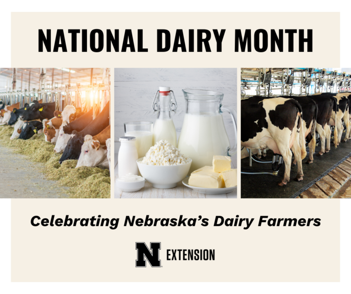 National Dairy Month promo