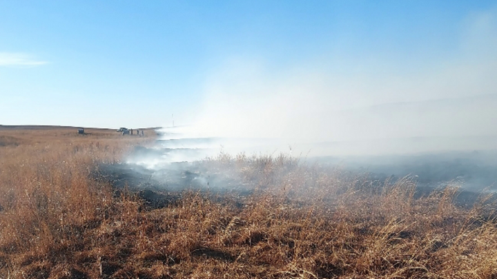 Wildfire Photo