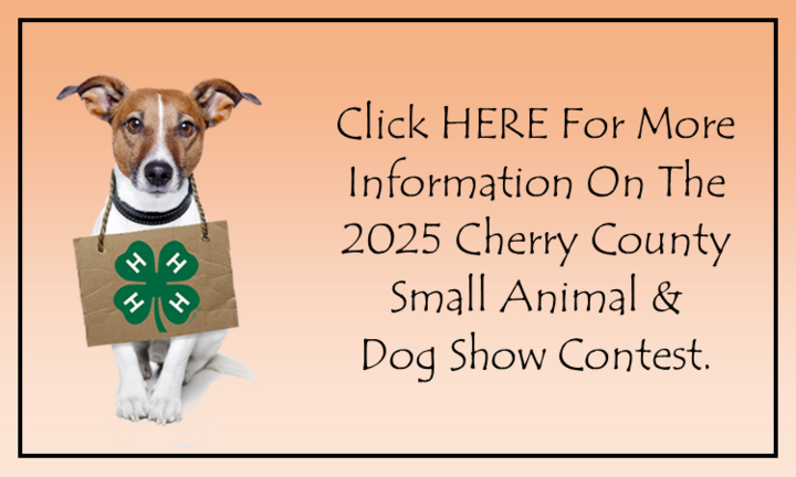 Dog Show Link