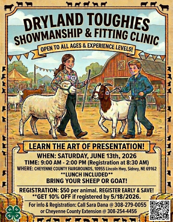 Dryland Toughies Showman Shipshow
