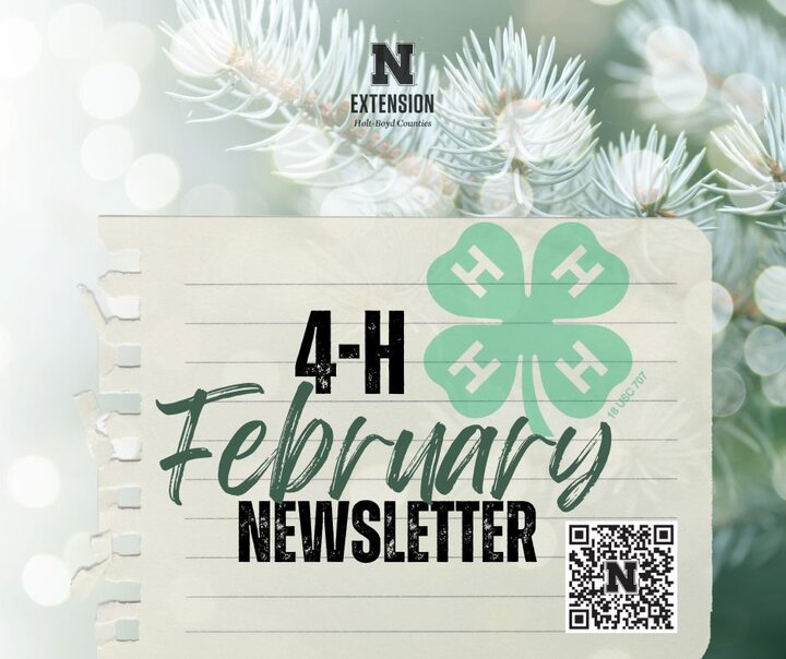 Holt Boyd 4-H February Newsletter