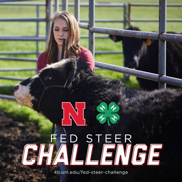 2026 Fed Steer Challenge