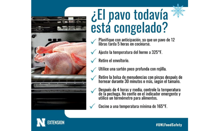 Fozen Turkey - Spanish