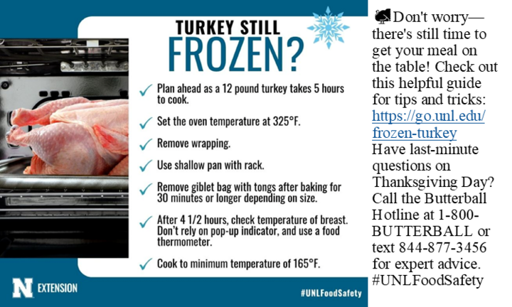 Frozen Turkey