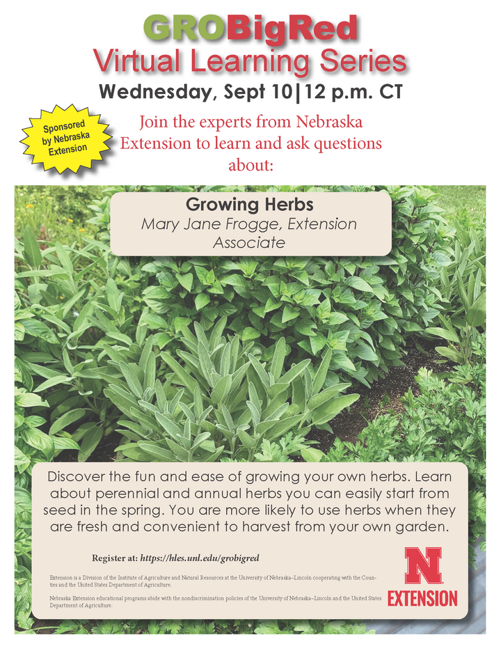 Flyer for Gro Big Red